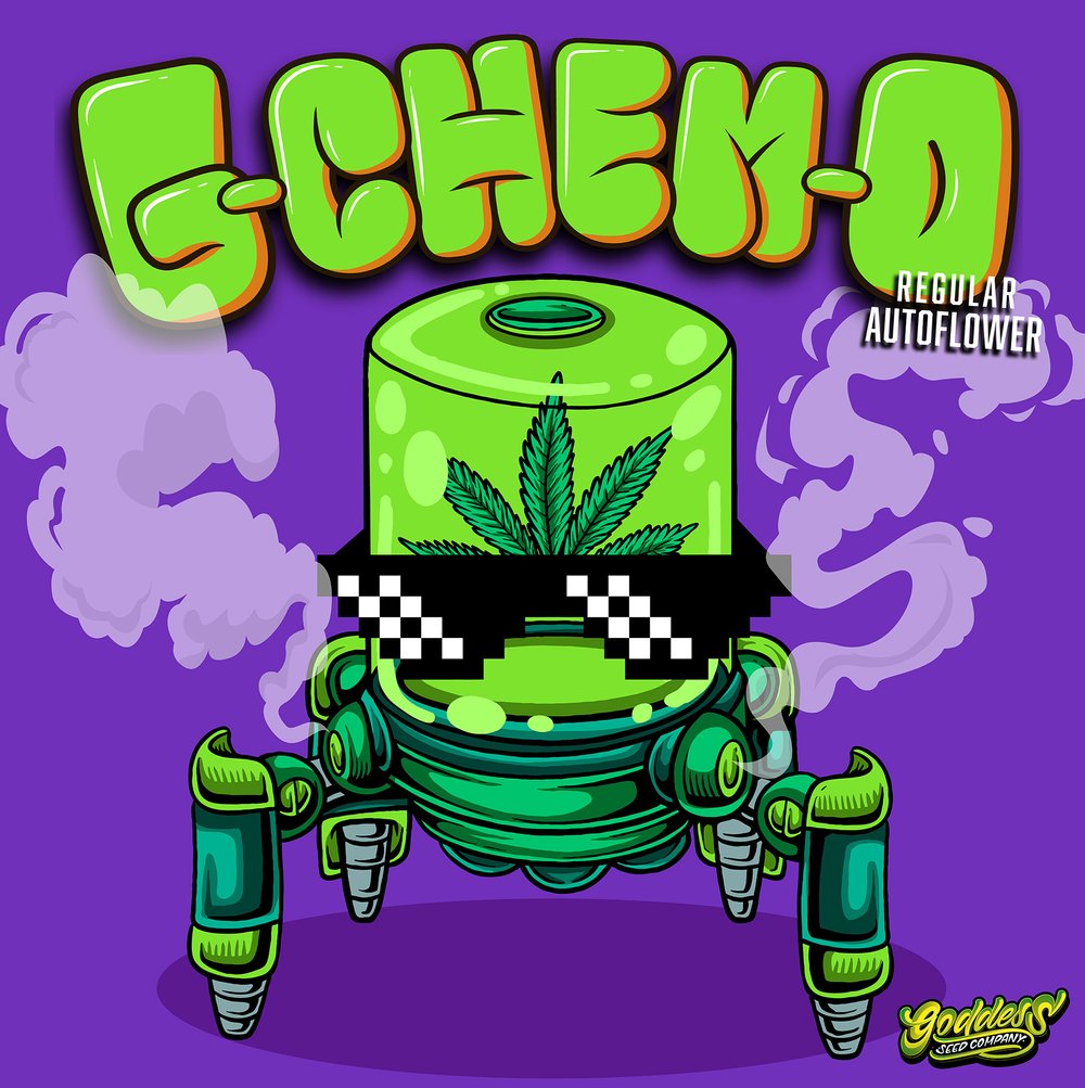 G-Chem-O F2 (Auto Reg)