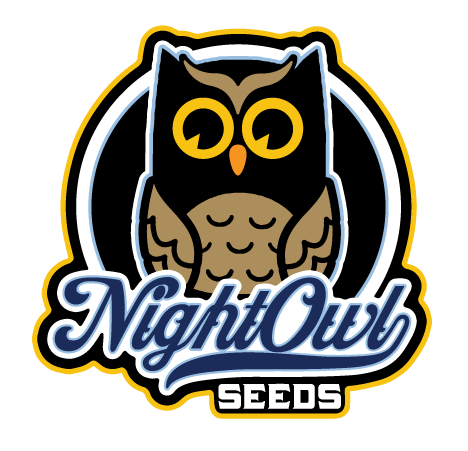 Invader Zam (Auto Fem)