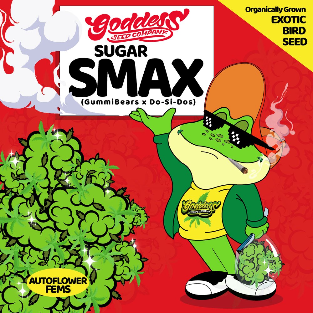 Sugar Smax (Auto Fem)