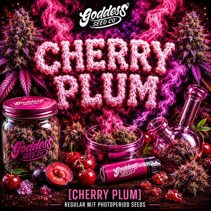 Cherry Plum (Reg)