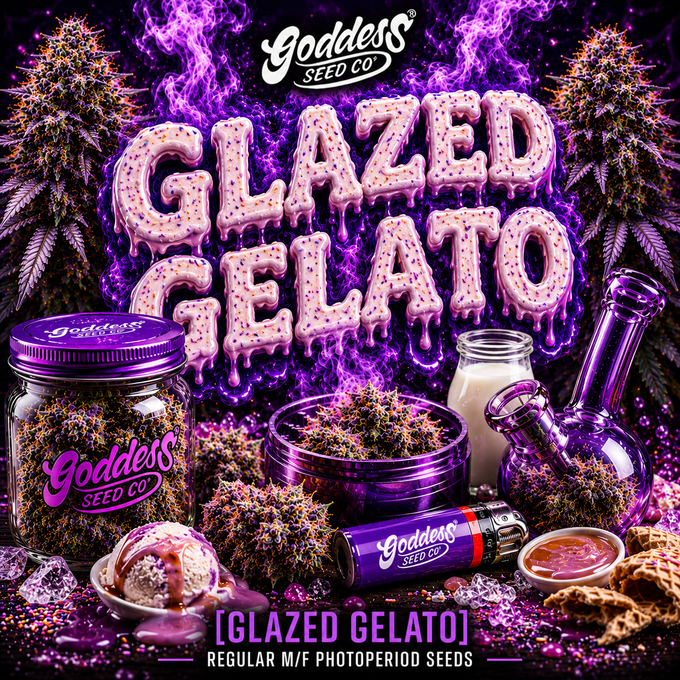 Glazed Gelato (Auto Fem)