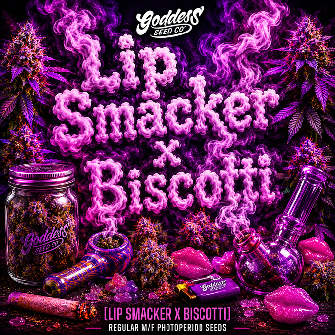 Lip Smacker X Biscotti