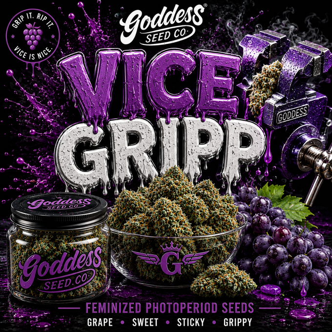 Vice Gripp (Fem)