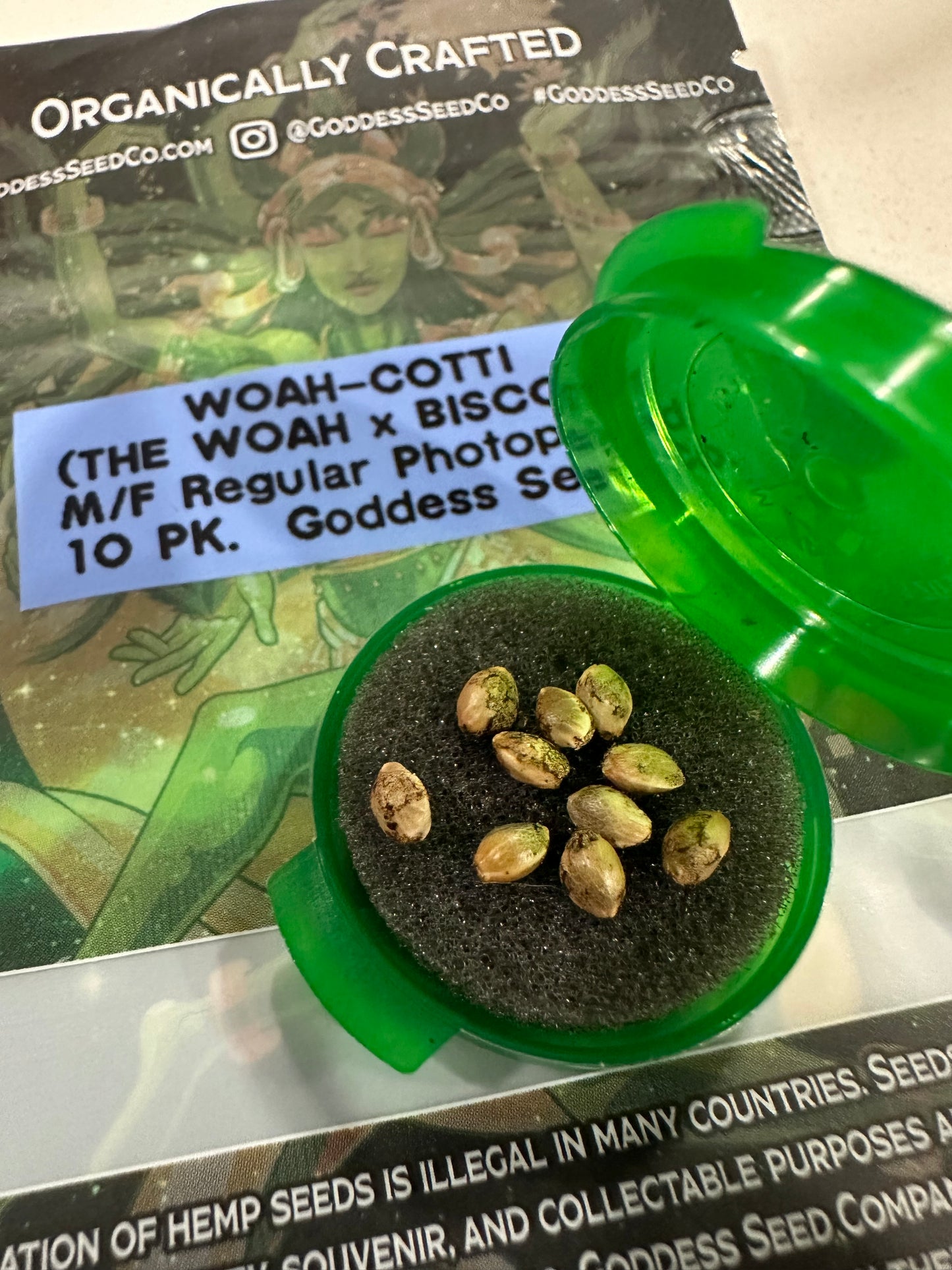 Woah-Cotti (Reg)