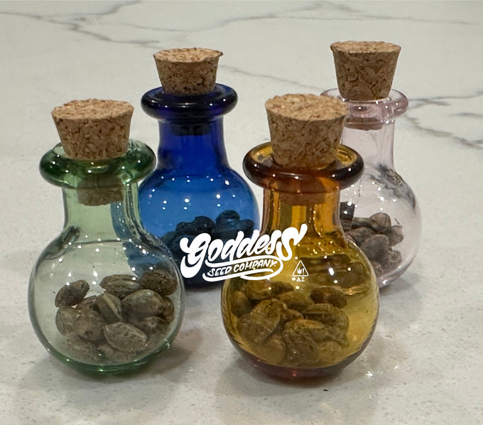 Chem Fruit - Potion Bottle