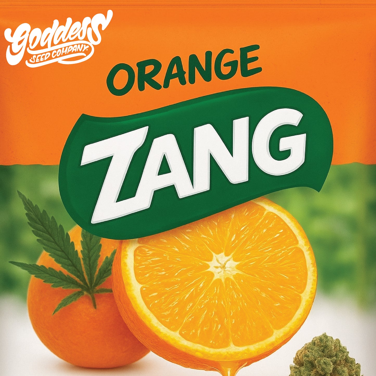 Orange ZANG (Fems)