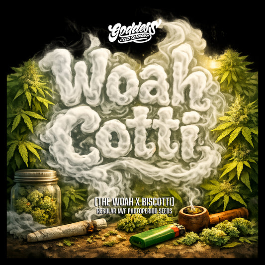 Woah-Cotti (Reg)