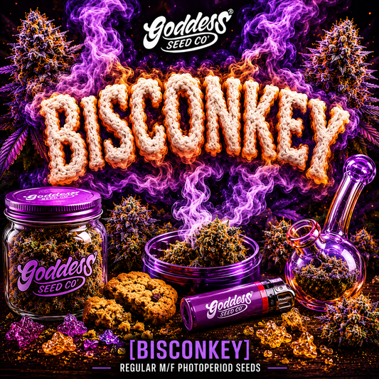 Bisconkey (Reg)