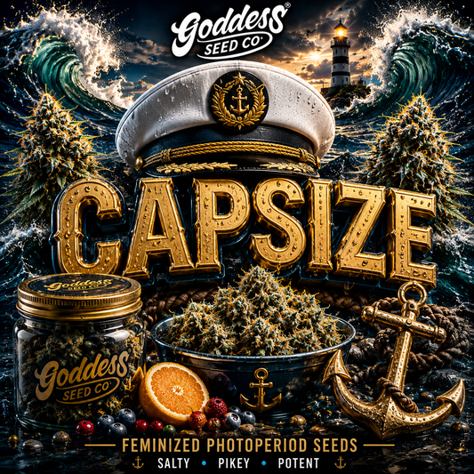 CAPSIZE (Fems)