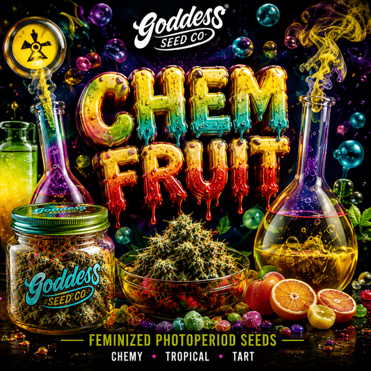 Chem Fruit (Reg)