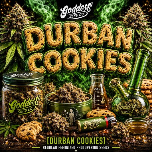 Durban Cookies (Auto Fem)