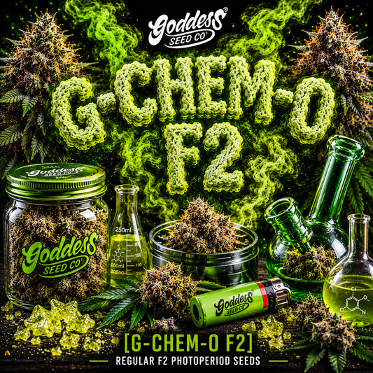 G-Chem-O F2 (Auto Reg)