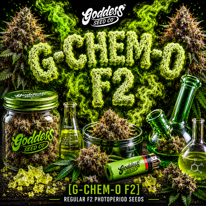 G-Chem-O F2 (Auto Reg)