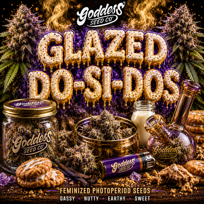 Glazed Do-Si-Dos (Auto Reg)