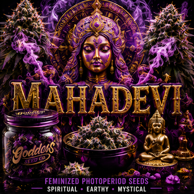 Mahadevi (Fems)