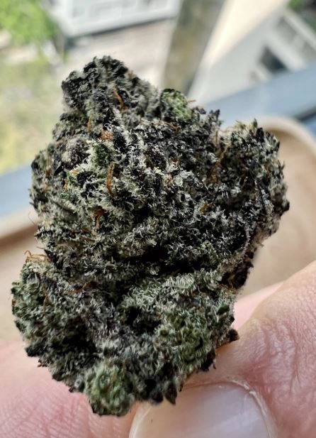 Big Ripper